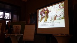 Frauenimpuls 4: #Frauenreferat des Landes OÖ Frauenimpuls 4: #Frauenreferat des Landes OÖ